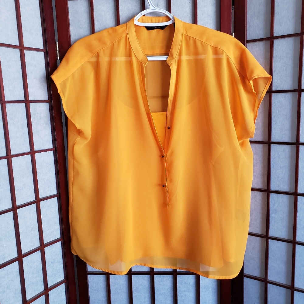 Investments 2-piece Orange Blouse and Cami